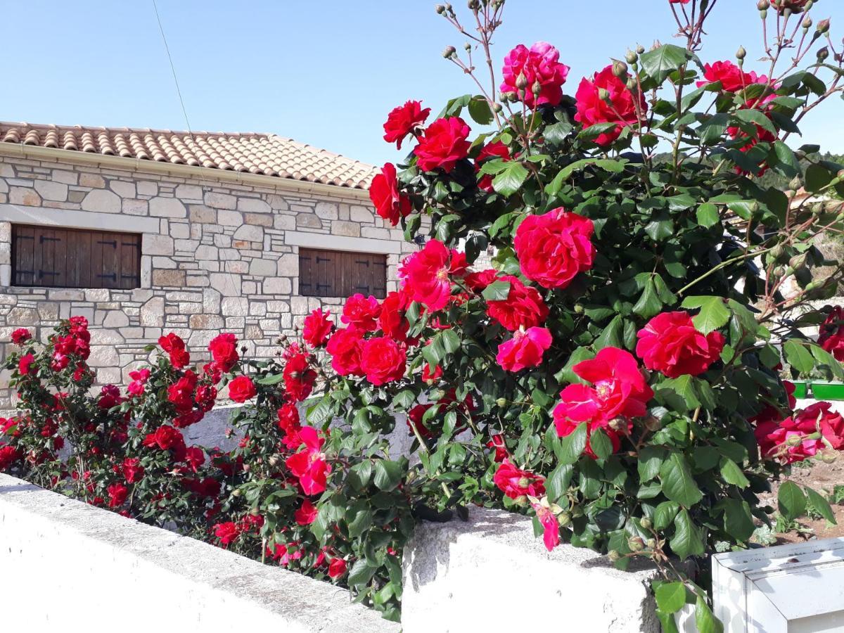 Katoi Traditional House Vakantiehuis Exo Khora