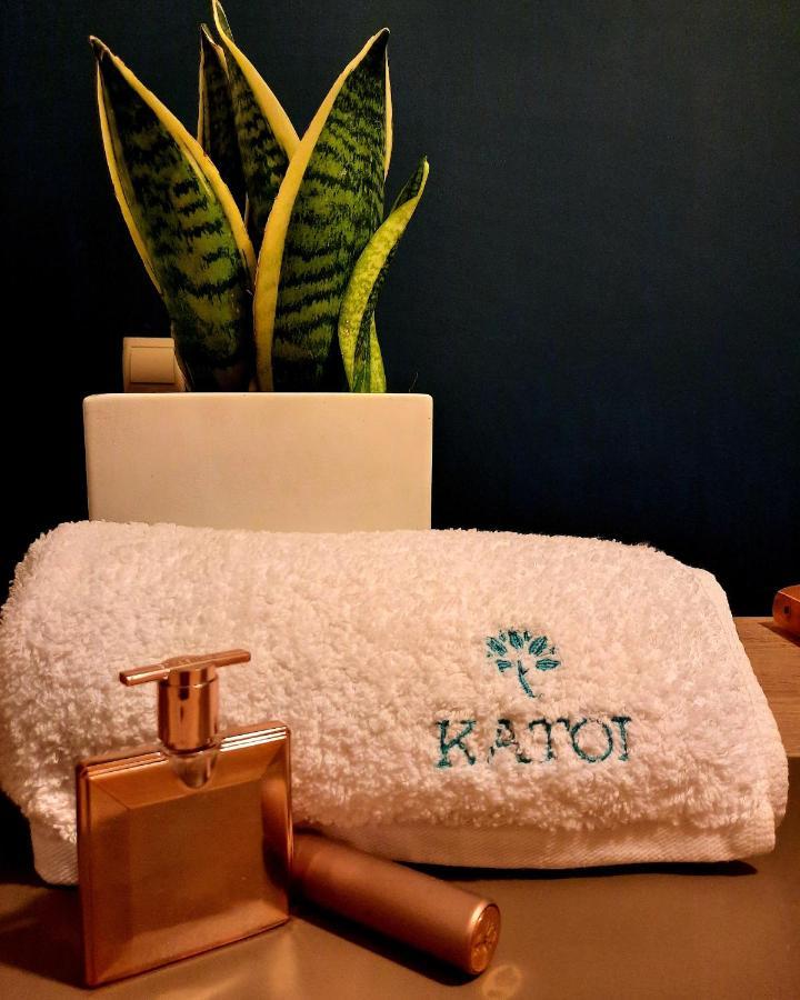 Vakantiehuis Katoi Traditional House Exo Khora